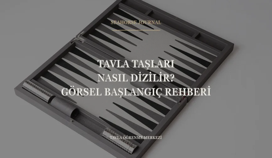 “Tavla Taşları Nasıl Dizilir? Görsel Başlangıç Rehberi” için güvenli kırpma alanında ortalanmış Seahorse Journal kapağı